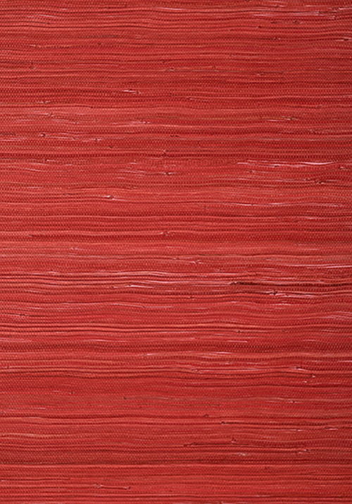 RAFFIA PALM T24071